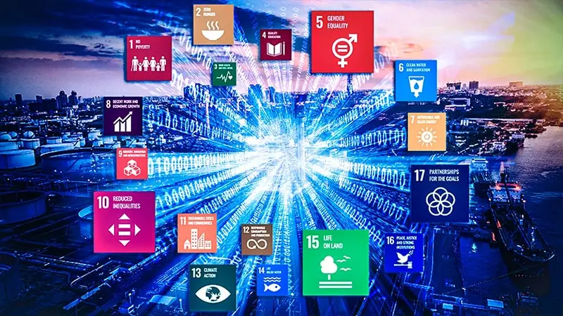 SDG-800-min